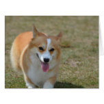 Happy Corgi Cards