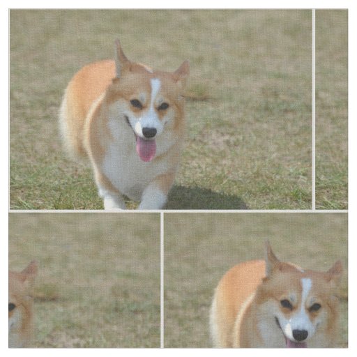 Happy Corgi Fabric