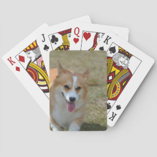 Happy Corgi Poker Cards