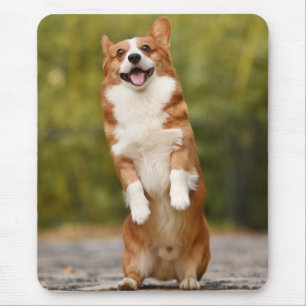 Happy Corgi Puppy Standing Photo Mouse Pad
