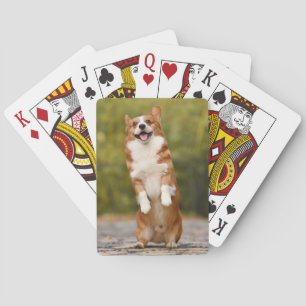 Happy Corgi Puppy Standing Photo Poker Cards