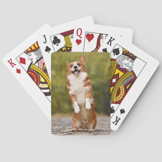 Happy Corgi Puppy Standing Photo Poker Cards (Back)