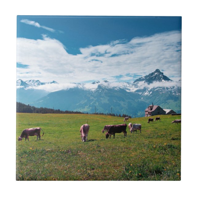 Happy Cows on the Farm in Switzerland Ceramic Tile (Front)