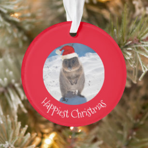 Happy Cute Merry Christmas Quokka Beach Australia Ornament