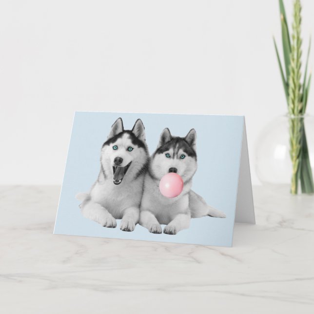Happy Cute Siberian Huskies Bubble Gum Card (Front)