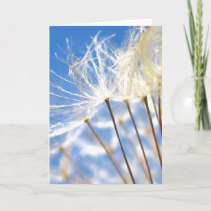 Happy, Dancing Dandelion Poof, Poetry of Nature Card