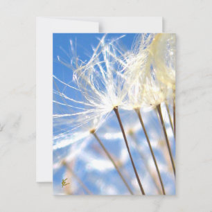 Happy, Dancing, Dandelion Poof, Stories in Nature Postcard