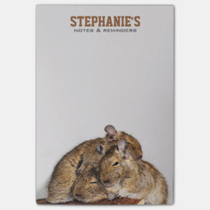 Happy Degu in a Degu Pile Post-it Notes