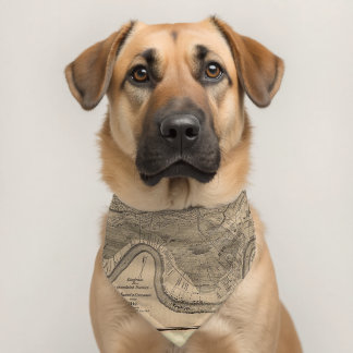 Happy Dog, add text, Pet Bandana Collar
