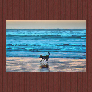 Happy Dog and Reflection on Beach at Sunset