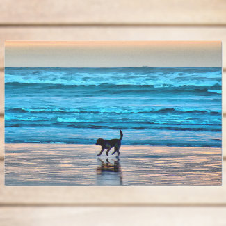 Happy Dog and Reflection on Beach at Sunset