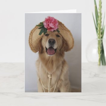 Happy Dog! Card by MaddiMomentsbyMAR at Zazzle