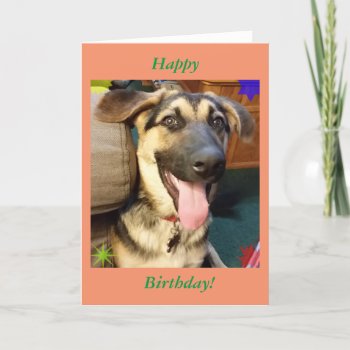 Happy Dog German Shepherd Birthday Card by busycrowstudio at Zazzle