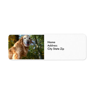Happy Dog Golden Retriever / Return Address Labels