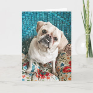 Happy Dog Greeting Card