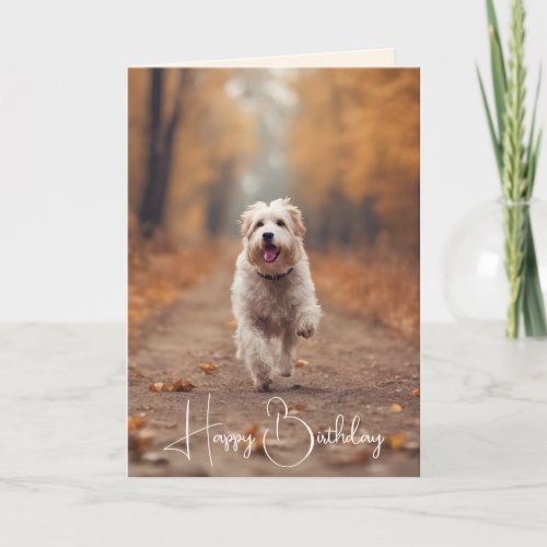 Happy Dog In Autumn Woods Card