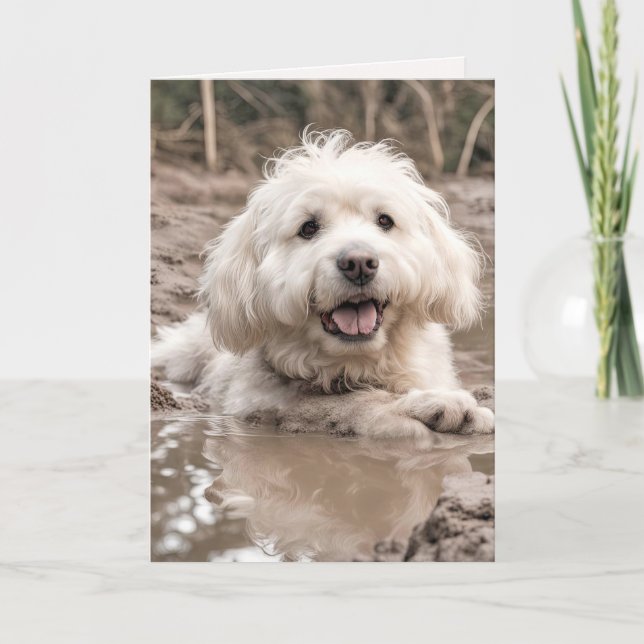 Happy Dog In Mud Puddle Card (Front)