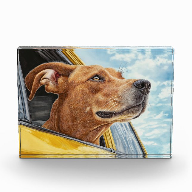 Happy Dog in Yellow Car Art Print Photo Block (Front)