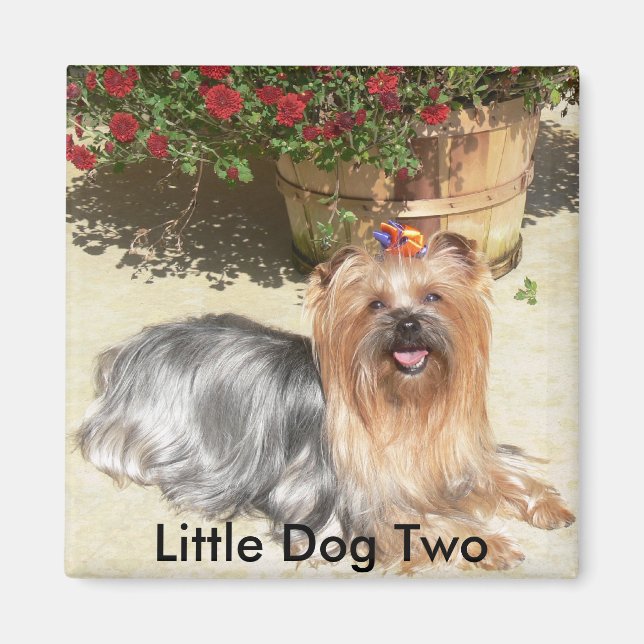 happy dog, Little Dog Two - Customized Magnet (Front)