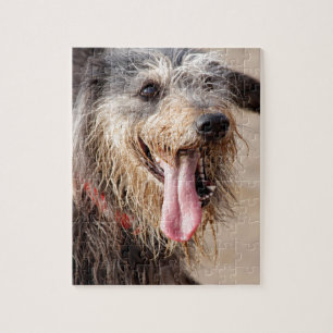 Happy dog on a beach jigsaw puzzle
