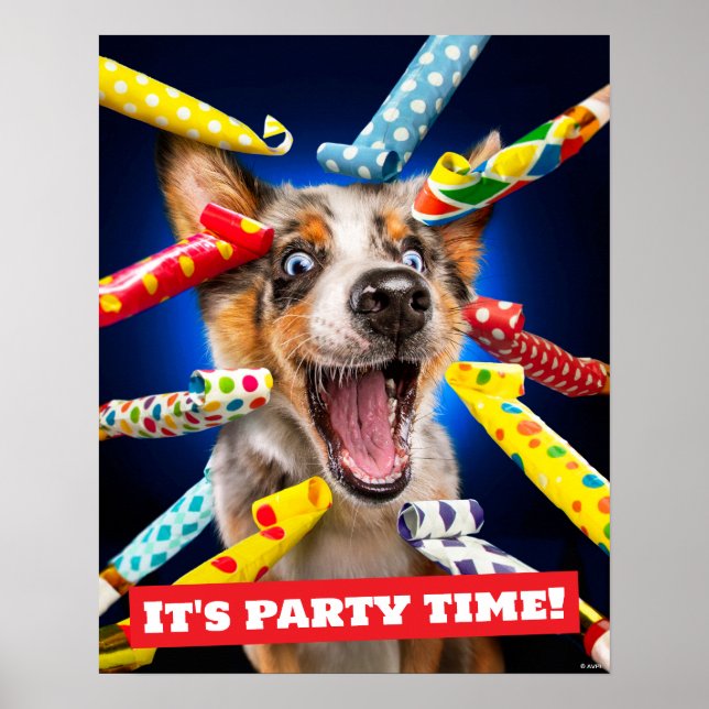 Happy Dog Party Blowers Poster (Front)