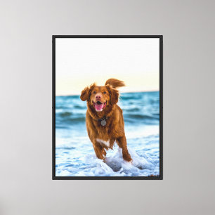 Happy Dog Playing by the Ocean Joyful Beach Canvas Print