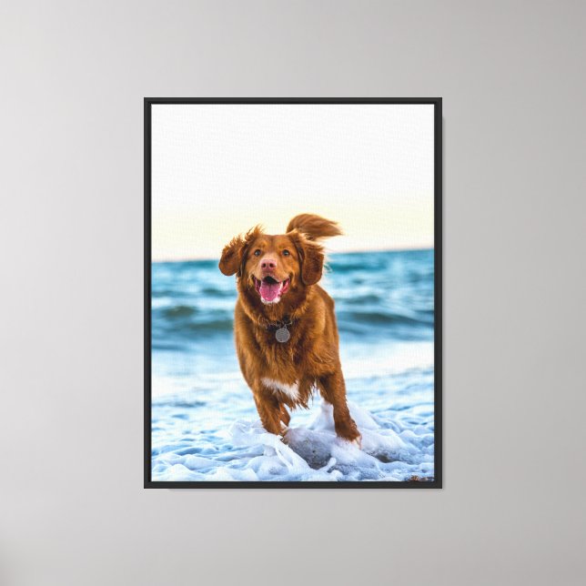 Happy Dog Playing by the Ocean Joyful Beach Canvas Print (Front)