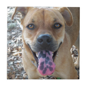 Happy Dog spotted tongue Tile
