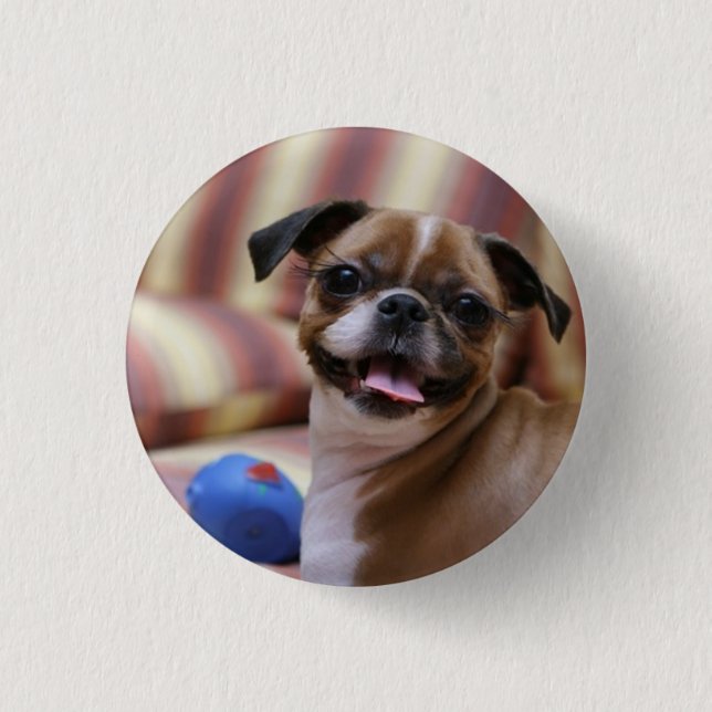 Happy Dog with Toy Button (Front)