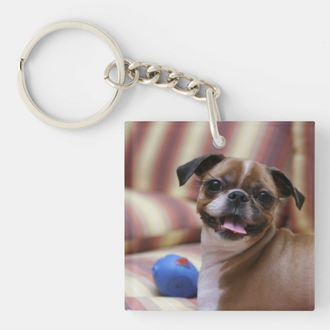 Happy Dog with Toy Keychain (Front)