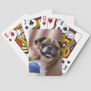Happy Dog with Toy Poker Cards