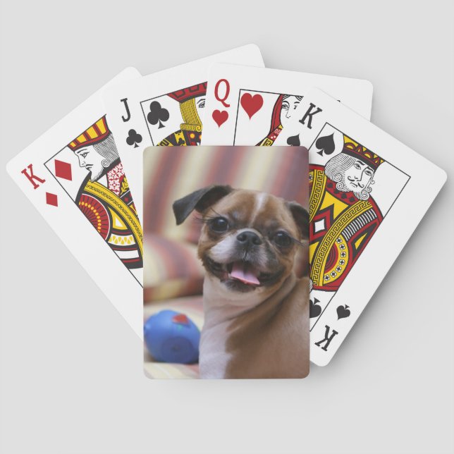Happy Dog with Toy Poker Cards (Back)
