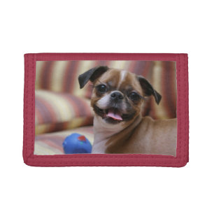Happy Dog with Toy Trifold Wallet