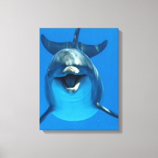 Happy Dolphin Canvas Print