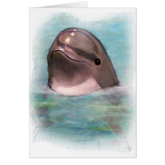 HAPPY DOLPHIN CARD