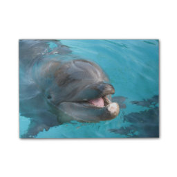 Happy Dolphin Post-it Notes