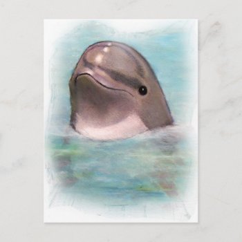 Happy Dolphin Postcard by joyart at Zazzle