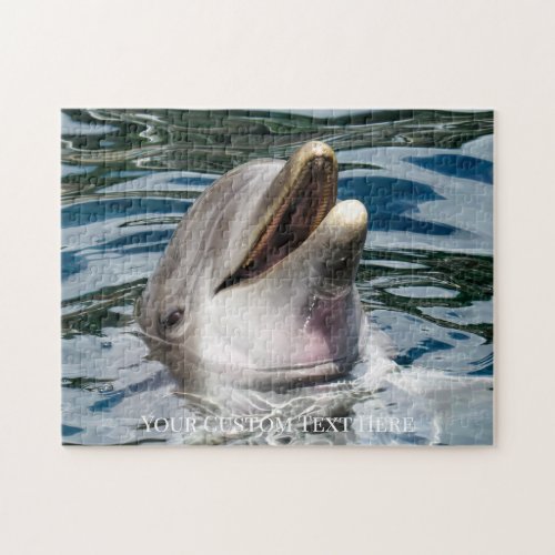 Happy Dolphin Puzzle