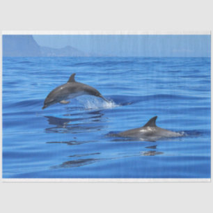 Happy Dolphins in Blue Sea Water Waves Tissue Paper