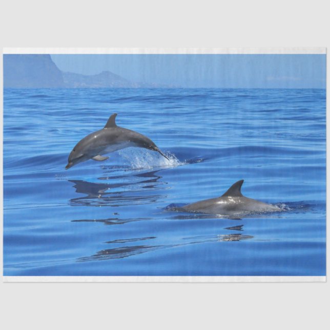 Happy Dolphins in Blue Sea Water Waves Tissue Paper (Front)