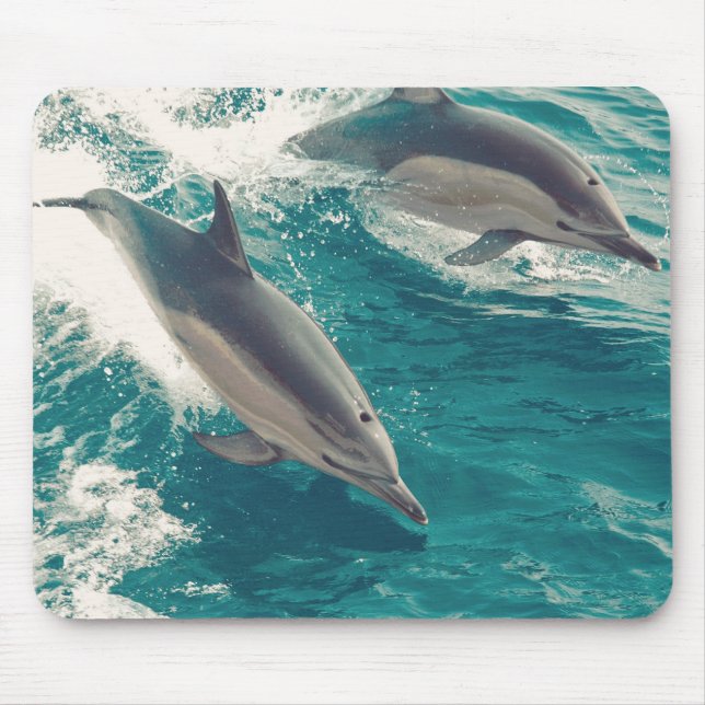 Happy Dolphins Mouse Pad (Front)