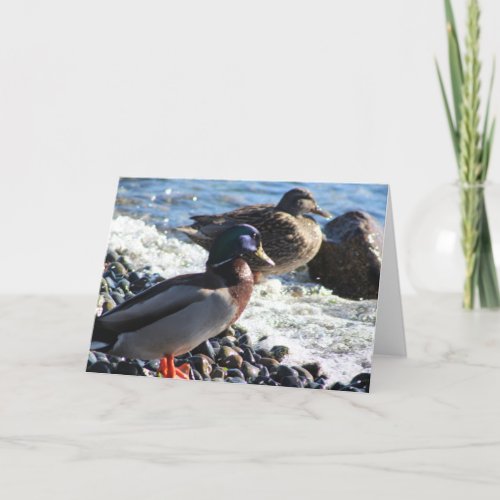 Happy Duck Blank Thank You Card