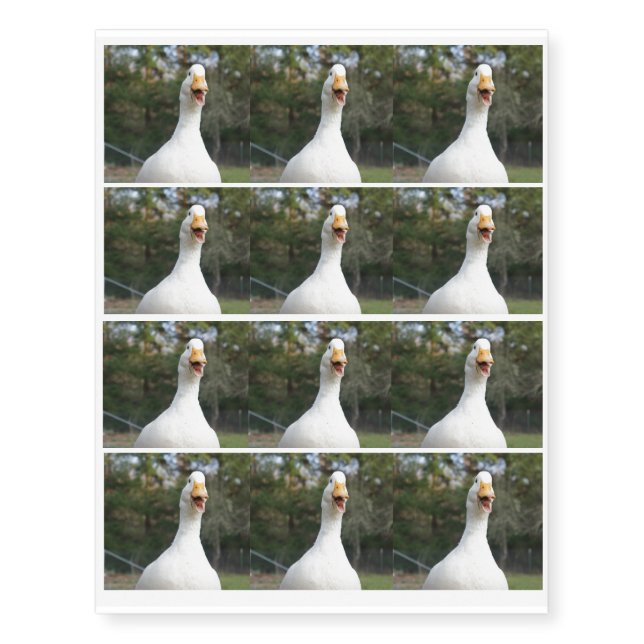 Happy Duck Temporary Tattoos (Front)