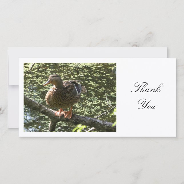 Happy Duck - Thank You Card (Front)