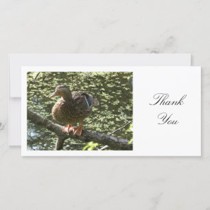 Happy Duck - Thank You Card