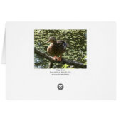 Happy Duck (Wide Bordered) Cards (Back Horizontal)