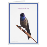 Happy Earth Day: Common Grackle
