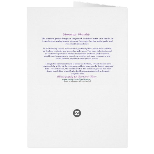 Happy Earth Day: Common Grackle Cards (Back)