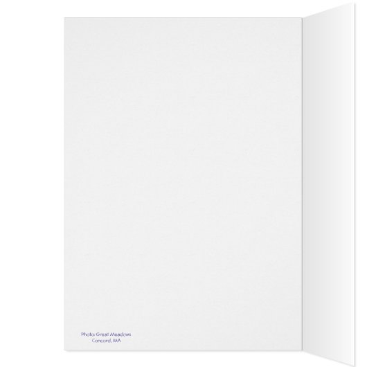 Happy Earth Day: Common Grackle Cards (Inside (Left))