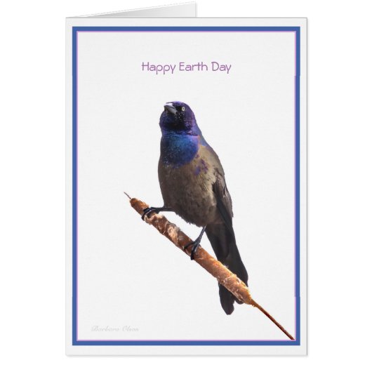 Happy Earth Day: Common Grackle Cards (Front)